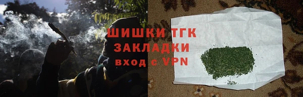 прущие грибы Алексин