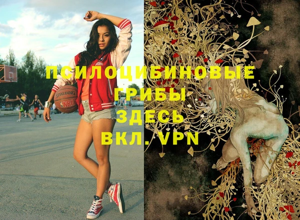 тгк Алзамай