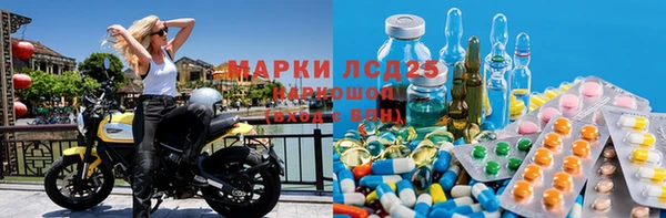 тгк Алзамай
