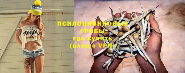 прущие грибы Алексин