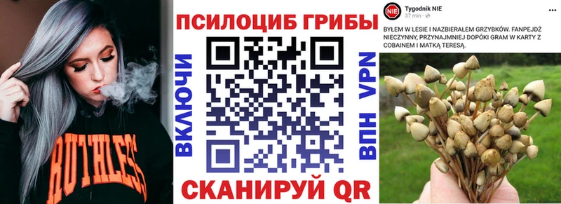 KRAKEN маркетплейс  Оленегорск  Псилоцибиновые грибы Magic Shrooms  купить закладку 